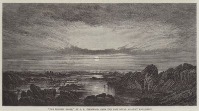 De Maanverlichte Kust door George F. Teniswood